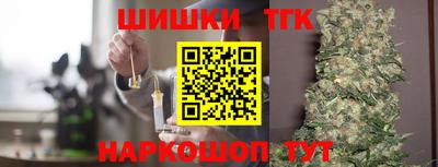 индика Ливны