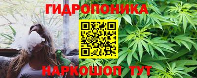 индика Ливны