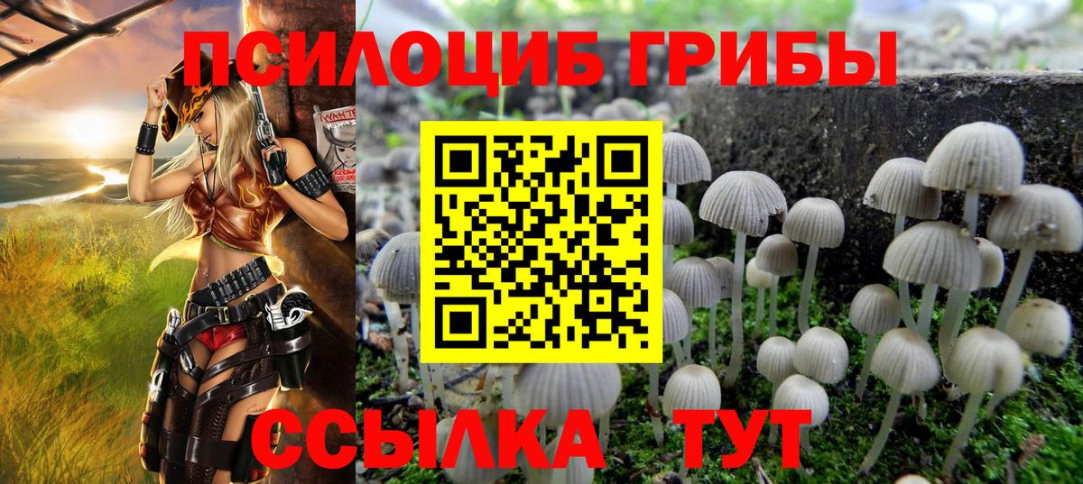 Галлюциногенные грибы ЛСД  купить  сайты  Гурьевск  Вход с VPN  Псилоцибиновые грибы прущие грибы 